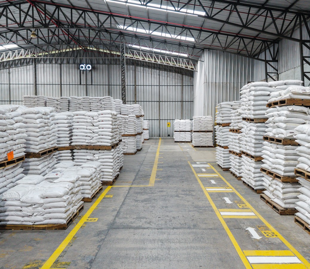 DATA PLANT GALERIA-8