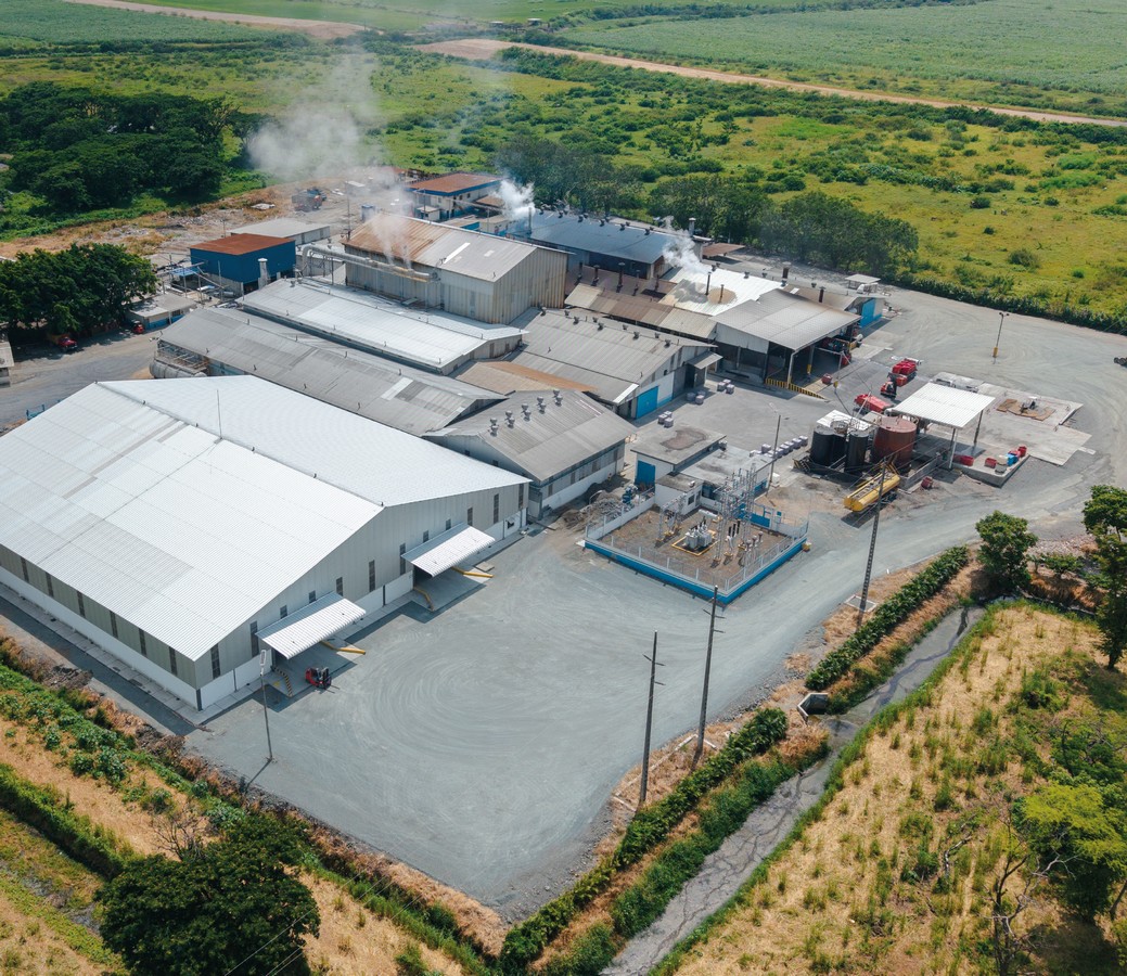 TAURA-PLANT-GALERIA-6