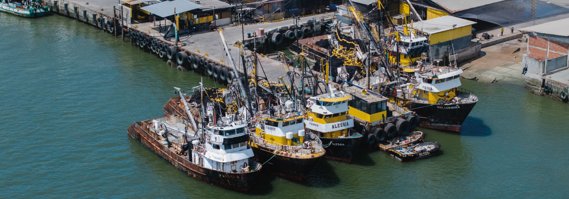 dock2